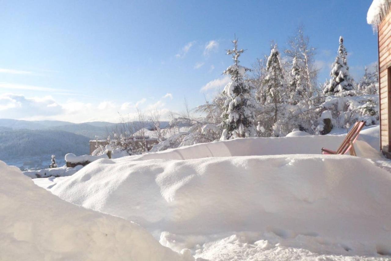 Laptitevosgienne Vue Lac A Gerardmer ! Exteriör bild